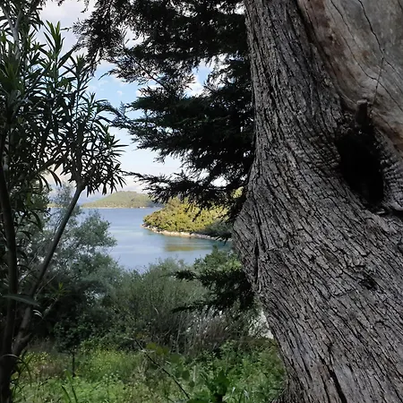 Ktima Bird Paradise *