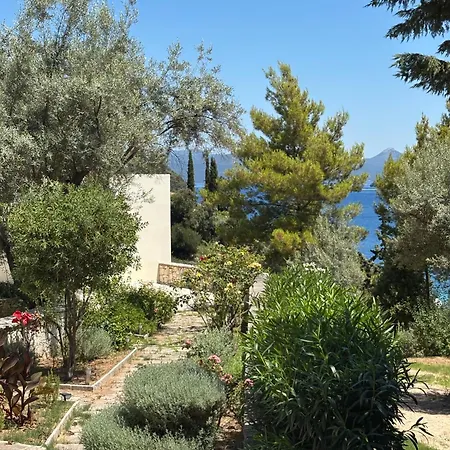 Vila Ktima Bird Paradise